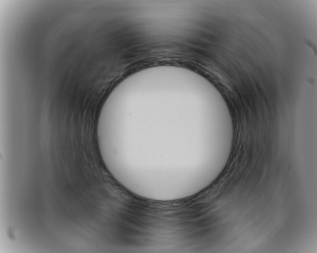X0000096190417200801181013