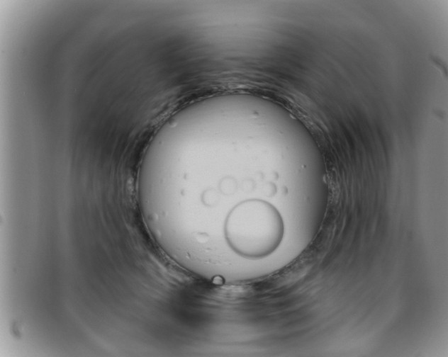 X0000096190418200801181013