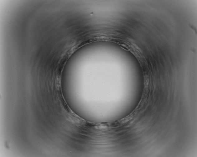 X0000096190419200801181013