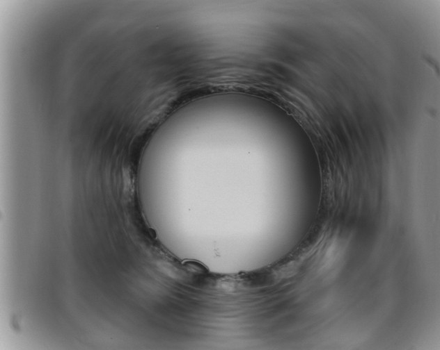 X0000096190420200801181013