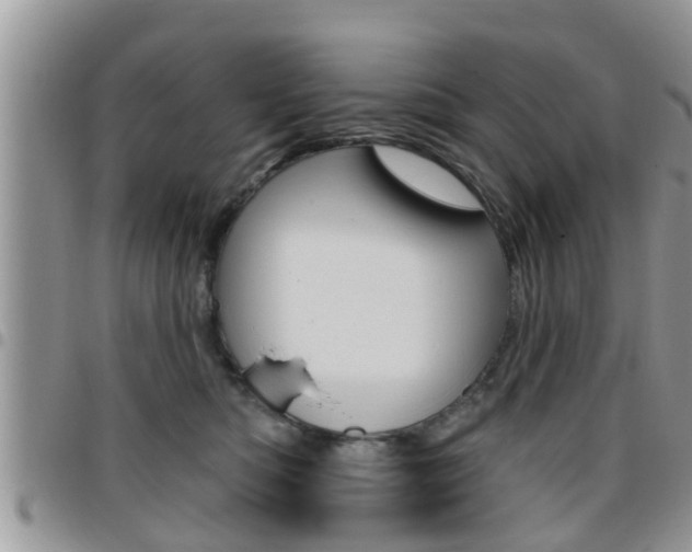 X0000096190422200801181013