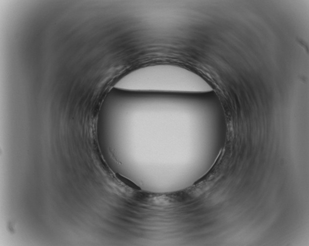 X0000096190423200801181013