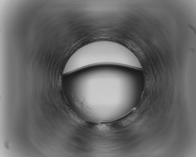 X0000096190425200801181013