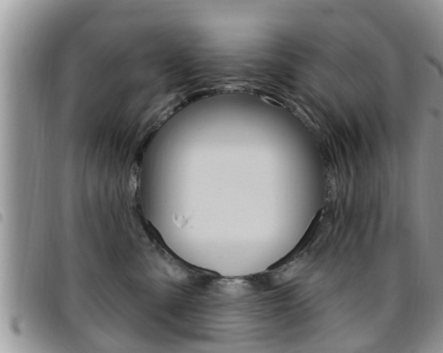 X0000096190427200801181013