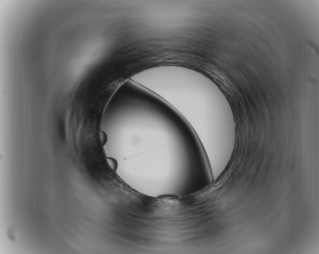 X0000096190429200801181013