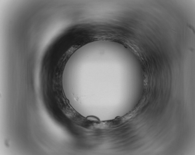 X0000096190430200801181013