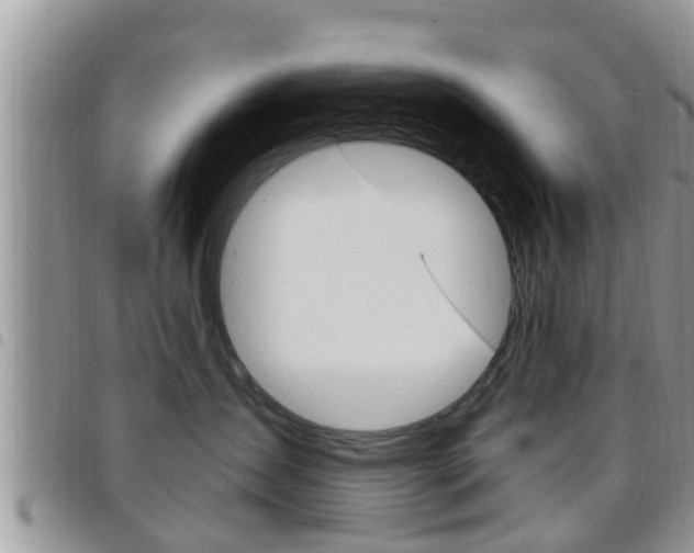 X0000096190431200801181013