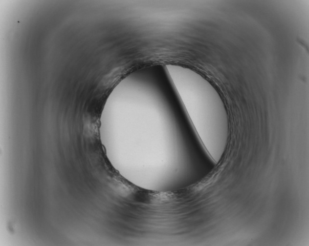 X0000096190432200801181012