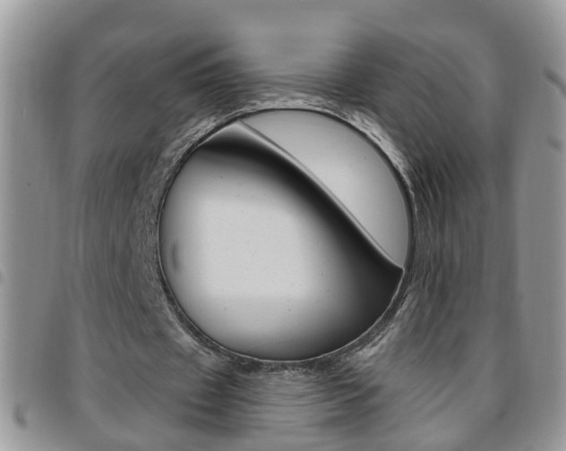 X0000096190433200801181012