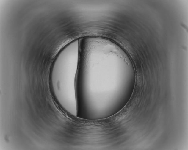 X0000096190434200801181012