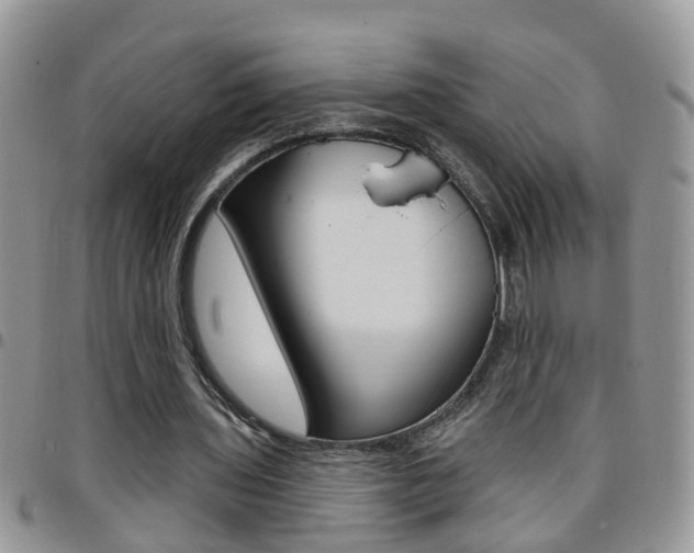 X0000096190435200801181012