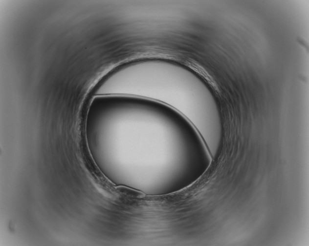 X0000096190436200801181012