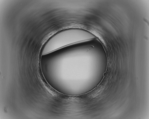 X0000096190437200801181012