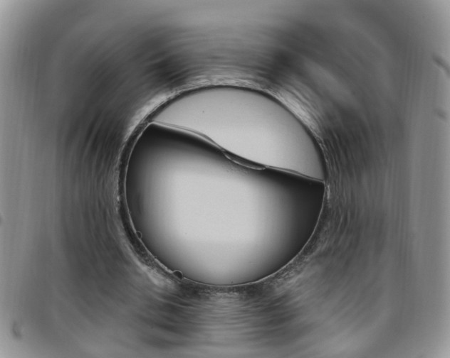 X0000096190438200801181012