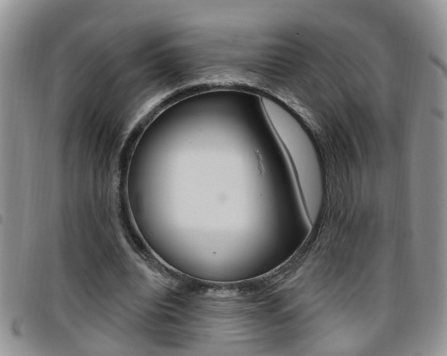 X0000096190440200801181012