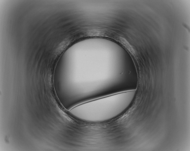 X0000096190441200801181012