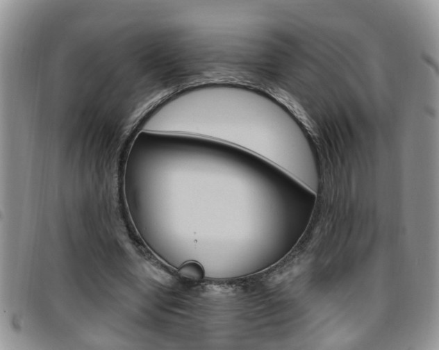 X0000096190442200801181012