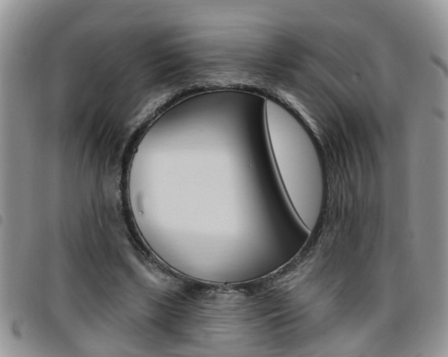 X0000096190443200801181012