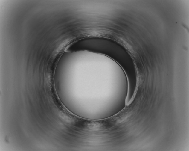 X0000096190444200801181012