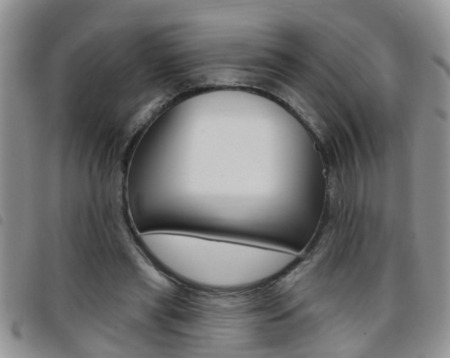 X0000096190445200801181012