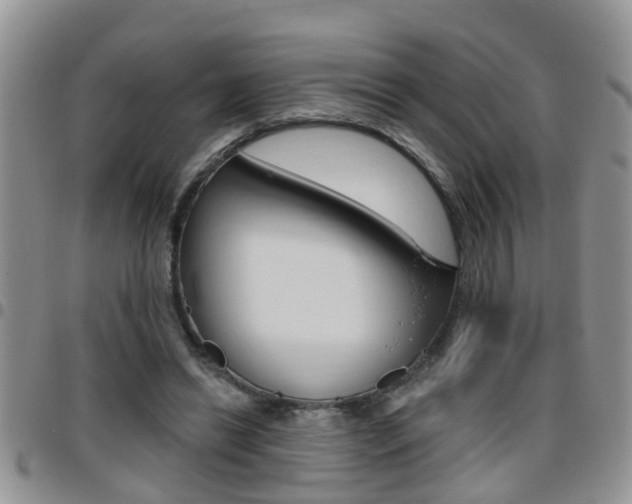 X0000096190446200801181012