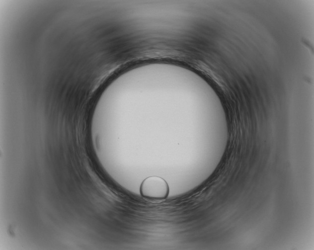 X0000096190448200801181012