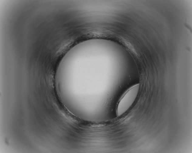 X0000096190450200801181012