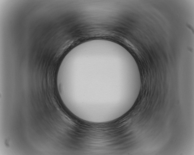 X0000096190452200801181012