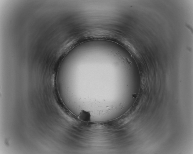 X0000096190454200801181012