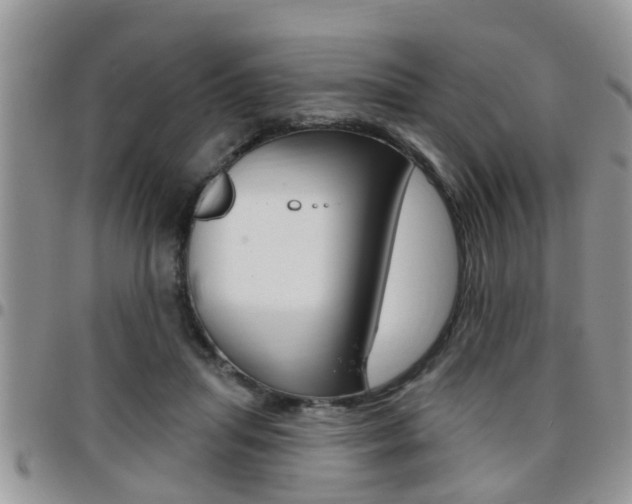 X0000096190455200801181012