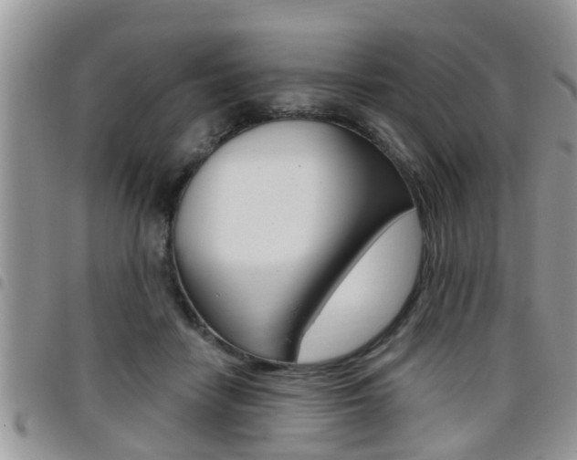 X0000096190458200801181012