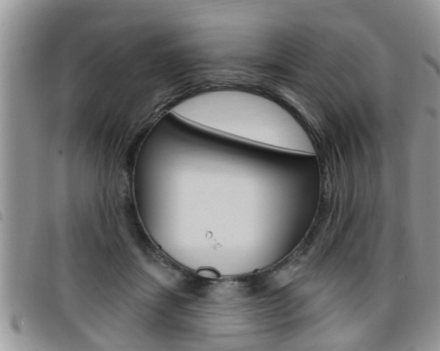 X0000096190459200801181012