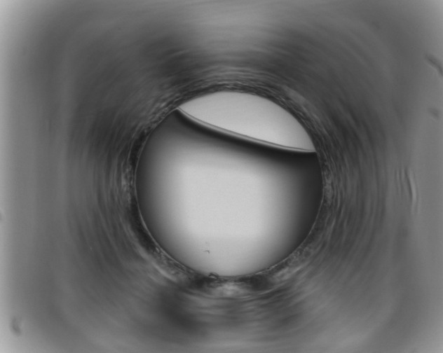 X0000096190460200801181012