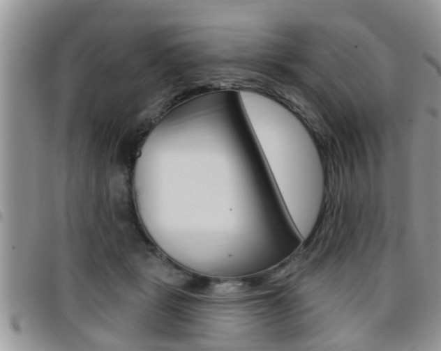 X0000096190461200801181012