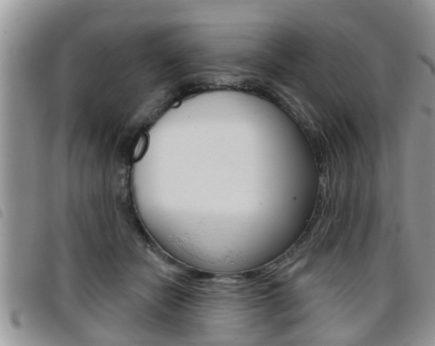 X0000096190462200801181012