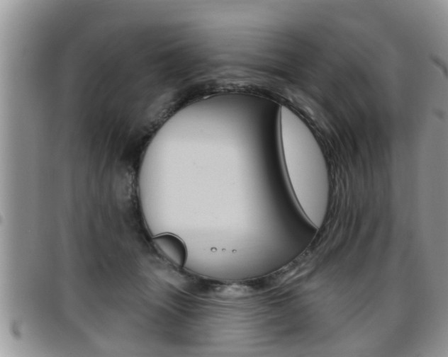 X0000096190463200801181012