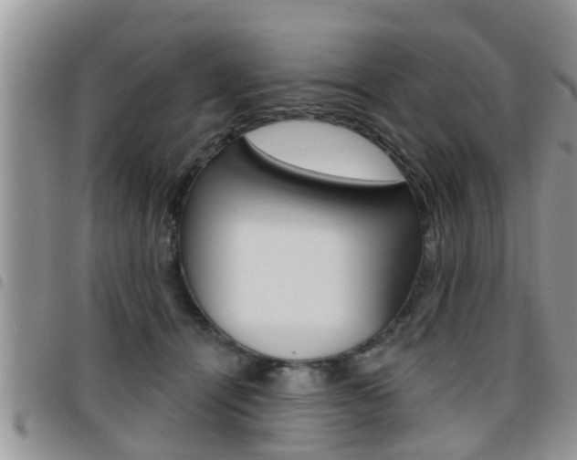 X0000096190464200801181012