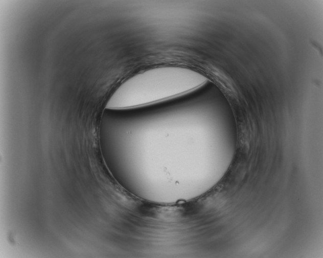 X0000096190465200801181012