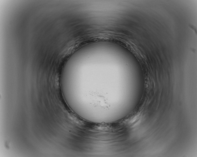 X0000096190466200801181012