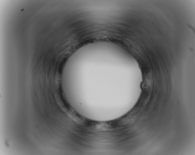 X0000096190468200801181012