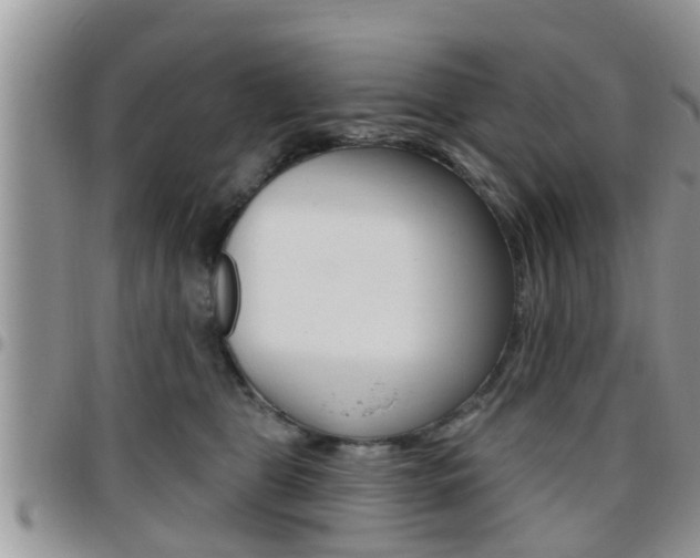 X0000096190469200801181012