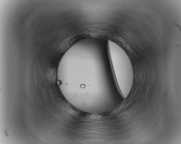 X0000096190471200801181012