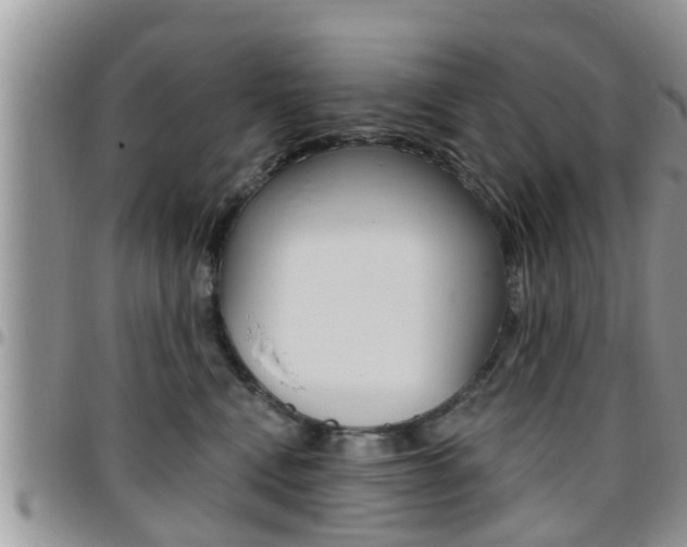X0000096190472200801181012