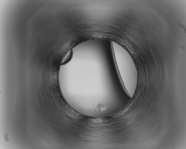 X0000096190473200801181012