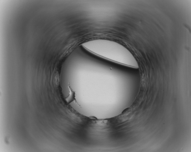 X0000096190474200801181012
