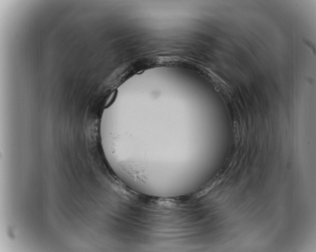 X0000096190475200801181012
