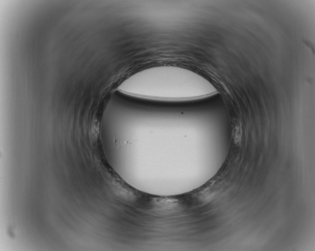 X0000096190476200801181012