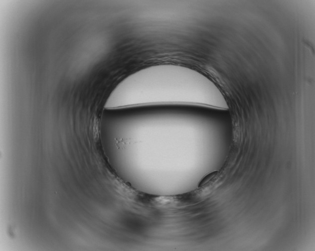 X0000096190477200801181012
