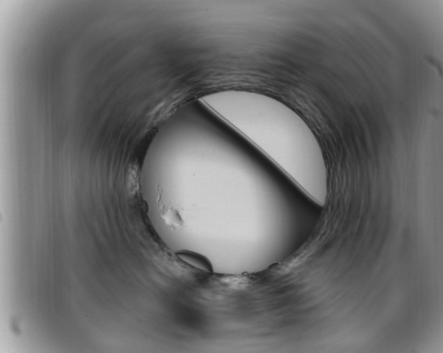 X0000096190478200801181012