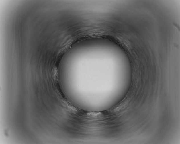 X0000096190480200801181012